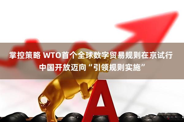 掌控策略 WTO首个全球数字贸易规则在京试行 中国开放迈向“引领规则实施”