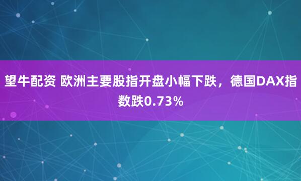 望牛配资 欧洲主要股指开盘小幅下跌，德国DAX指数跌0.73%