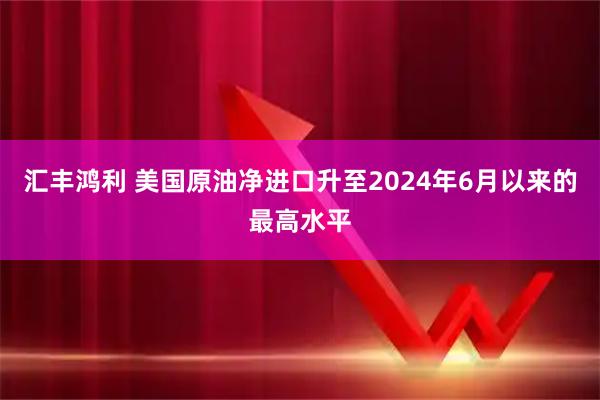 汇丰鸿利 美国原油净进口升至2024年6月以来的最高水平