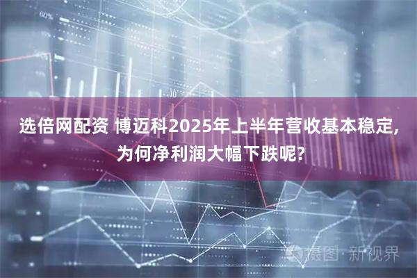 选倍网配资 博迈科2025年上半年营收基本稳定, 为何净利润大幅下跌呢?