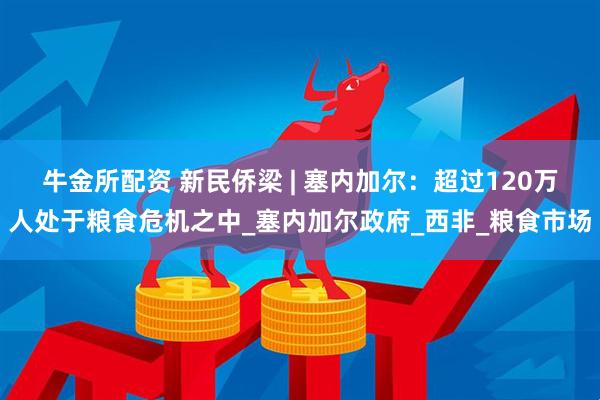 牛金所配资 新民侨梁 | 塞内加尔：超过120万人处于粮食危机之中_塞内加尔政府_西非_粮食市场