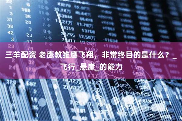 三羊配资 老鹰教雏鹰飞翔，非常终目的是什么？_飞行_悬崖_的能力