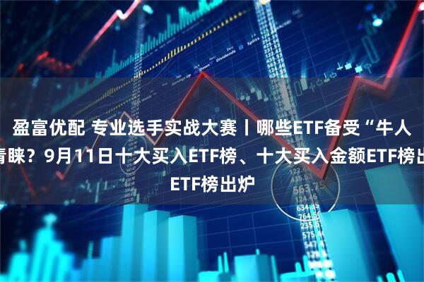 盈富优配 专业选手实战大赛丨哪些ETF备受“牛人”青睐？9月11日十大买入ETF榜、十大买入金额ETF榜出炉